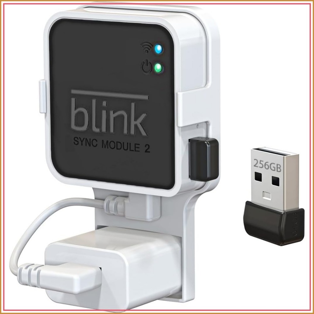 256GB USB Flash Drive with Out - đánh giá và giá Home Security Images