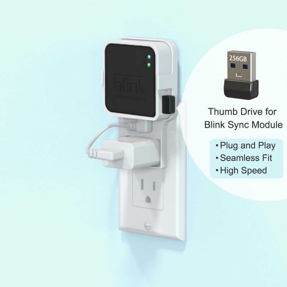 256GB USB Flash Drive with Out - đánh giá và giá Home Security Images