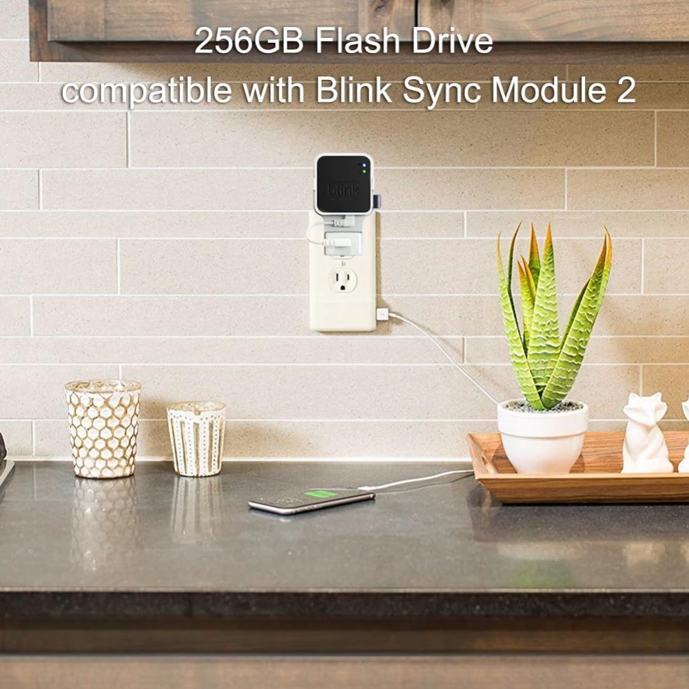256GB USB Flash Drive with Out - đánh giá và giá Home Security Images